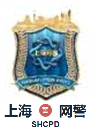 Shanghai Cyber Police 110
